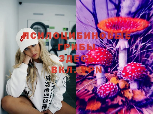 соль курить ск Вязьма