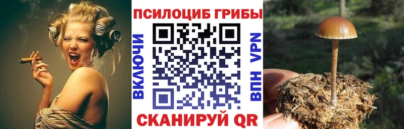 Купить  Болхов  Галлюциногенные грибы мухоморы 